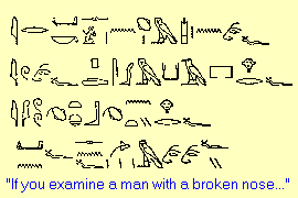 Example of heiroglyphs that read 'If you examine a man with a broken nose'